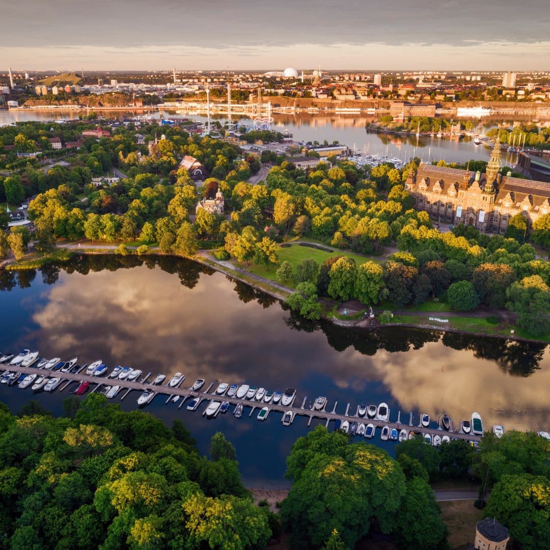 ZENN-teamet som utvecklar webbplatser, e-handel och SEO för företag i Stockholm
